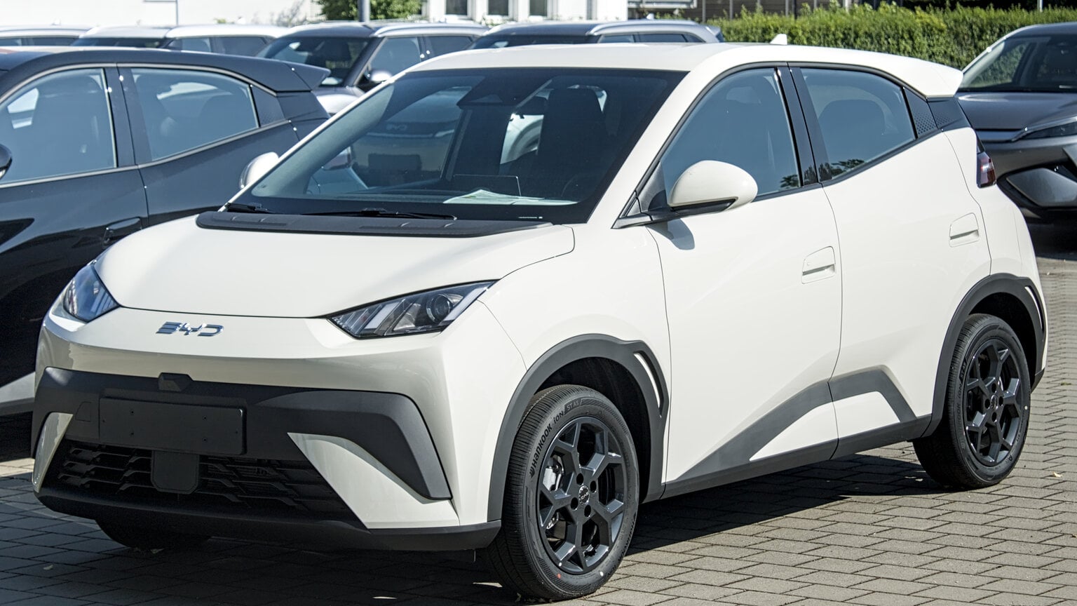 BYD Dolphin Surf